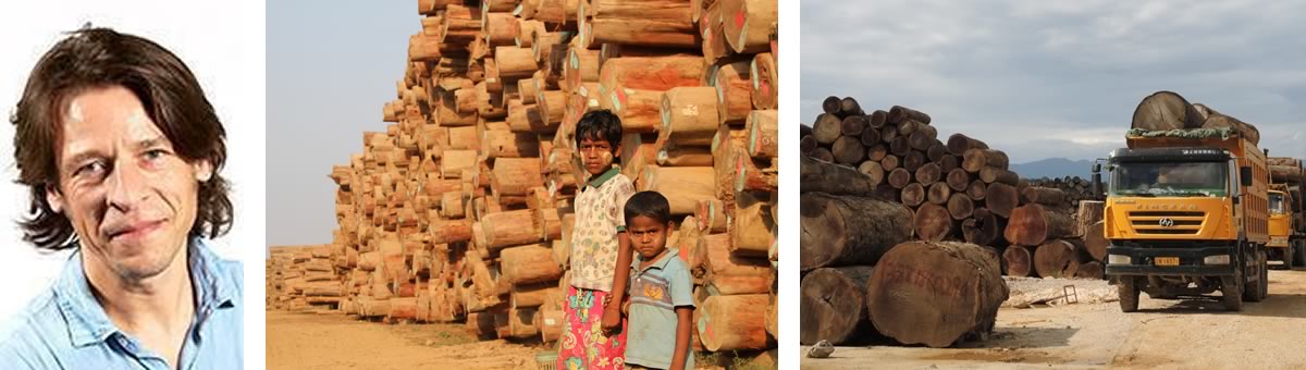 Burma deforestation problem