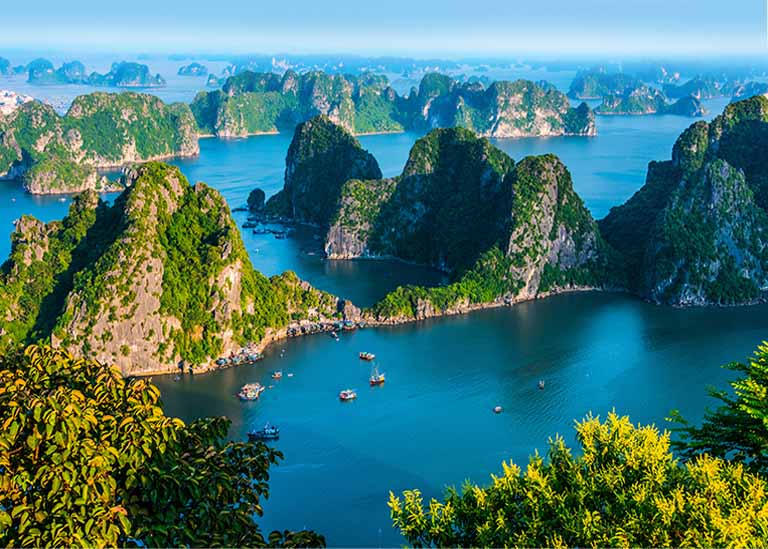 Dragons descended from the heavens