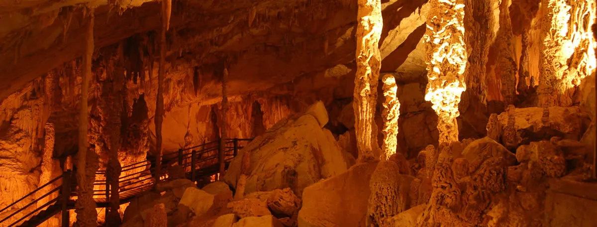 Mulu Caves & Lambir National Park 4 nights Post Tour