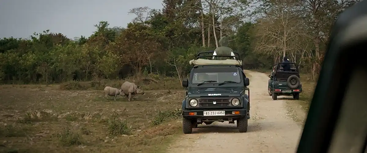 Brahmaputra River Wildlife Cruise: The Ultimate Expedition Guide
