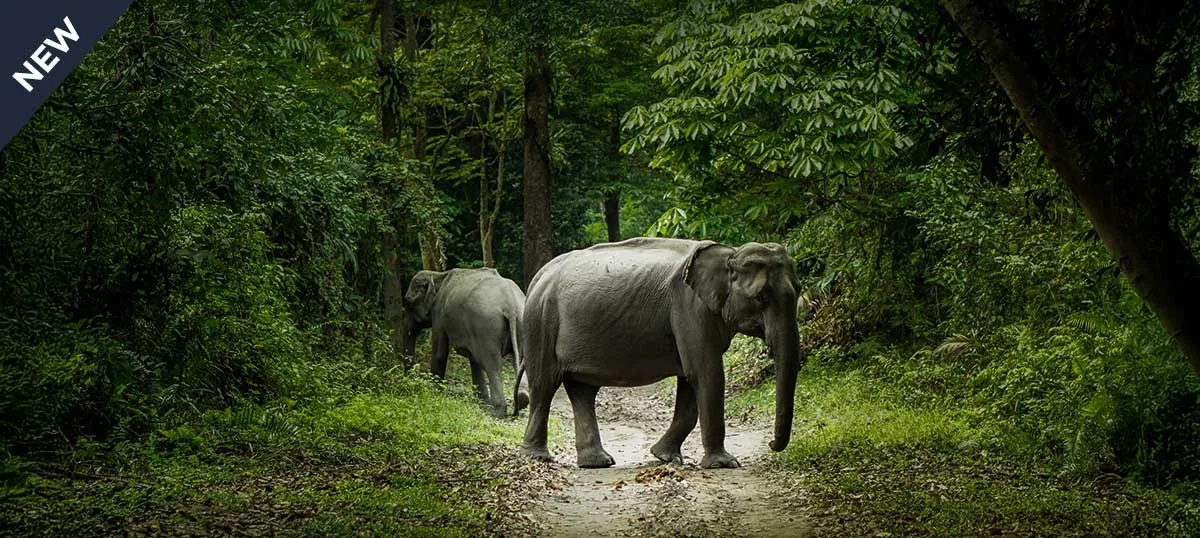 ALL ASSAM ON THE BRAHMAPUTRA