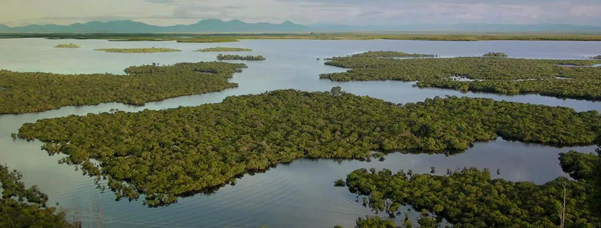 INTO THE TRUE HEART OF BORNEO