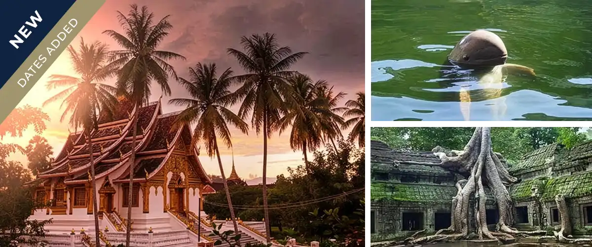 THE FULL MEKONG, FOUR COUNTRY 21 NIGHT COMBO CRUISE